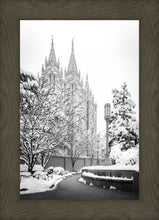 Load image into Gallery viewer, Salt Lake White Christmas
