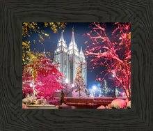 Load image into Gallery viewer, Salt Lake City Christmas Lights
