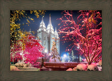 Load image into Gallery viewer, Salt Lake City Christmas Lights
