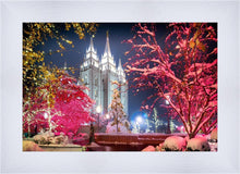 Load image into Gallery viewer, Salt Lake City Christmas Lights
