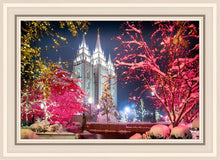 Load image into Gallery viewer, Salt Lake City Christmas Lights
