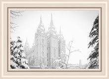 Load image into Gallery viewer, Salt Lake City High Key Snow
