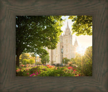Load image into Gallery viewer, Salt Lake - The Lord is My Light
