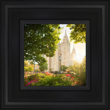 Load image into Gallery viewer, Salt Lake - The Lord is My Light

