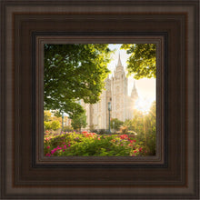 Load image into Gallery viewer, Salt Lake - The Lord is My Light
