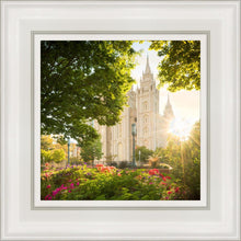 Load image into Gallery viewer, Salt Lake - The Lord is My Light
