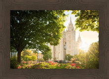 Load image into Gallery viewer, Salt Lake - The Lord is My Light
