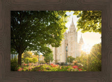 Load image into Gallery viewer, Salt Lake - The Lord is My Light
