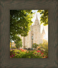 Load image into Gallery viewer, Salt Lake - The Lord is My Light (Vertical)
