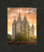 Load image into Gallery viewer, Salt Lake - The Promise
