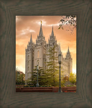 Load image into Gallery viewer, Salt Lake - The Promise
