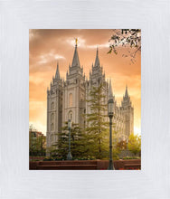 Load image into Gallery viewer, Salt Lake - The Promise
