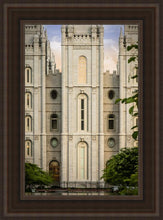 Load image into Gallery viewer, Salt Lake The Morning Breaks
