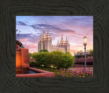 Load image into Gallery viewer, Salt Lake City This is the Place
