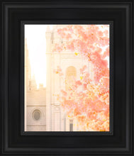 Load image into Gallery viewer, Salt Lake Blossom Glow
