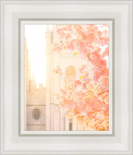 Load image into Gallery viewer, Salt Lake Blossom Glow

