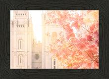 Load image into Gallery viewer, Salt Lake Blossom Glow
