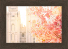 Load image into Gallery viewer, Salt Lake Blossom Glow
