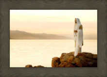 Load image into Gallery viewer, Light of the World
