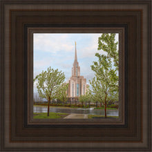 Load image into Gallery viewer, Oquirrh Mountain Rainfall
