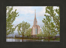 Load image into Gallery viewer, Oquirrh Mountain Rainfall
