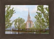 Load image into Gallery viewer, Oquirrh Mountain Rainfall
