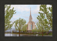 Load image into Gallery viewer, Oquirrh Mountain Rainfall
