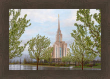 Load image into Gallery viewer, Oquirrh Mountain Rainfall
