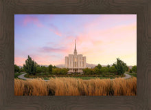 Load image into Gallery viewer, Oquirrh Grassy Morning
