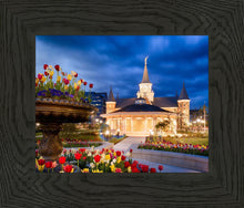 Load image into Gallery viewer, Provo City Center - April Showers Bring May Flowers
