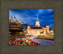 Load image into Gallery viewer, Provo City Center - April Showers Bring May Flowers
