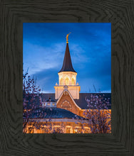 Load image into Gallery viewer, Provo City Center Blue and Gold

