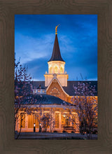 Load image into Gallery viewer, Provo City Center Blue and Gold
