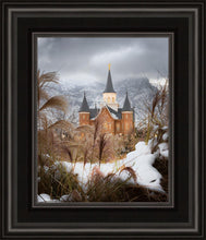 Load image into Gallery viewer, Provo City Center Winter Warmth
