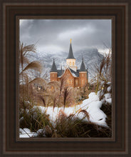 Load image into Gallery viewer, Provo City Center Winter Warmth
