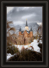 Load image into Gallery viewer, Provo City Center Winter Warmth
