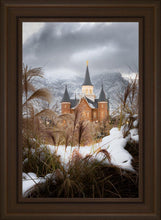 Load image into Gallery viewer, Provo City Center Winter Warmth
