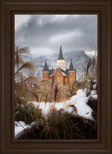 Load image into Gallery viewer, Provo City Center Winter Warmth
