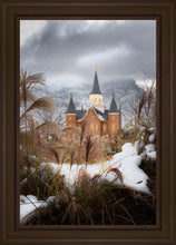 Load image into Gallery viewer, Provo City Center Winter Warmth

