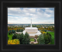 Load image into Gallery viewer, Provo Day Aerial
