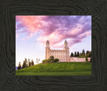 Load image into Gallery viewer, Manti Cotton Candy
