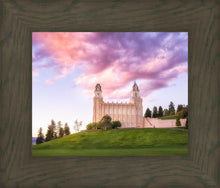 Load image into Gallery viewer, Manti Cotton Candy
