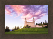 Load image into Gallery viewer, Manti Cotton Candy

