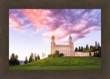 Load image into Gallery viewer, Manti Cotton Candy

