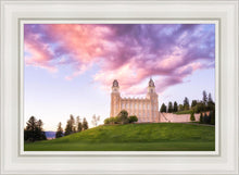 Load image into Gallery viewer, Manti Cotton Candy
