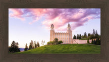 Load image into Gallery viewer, Manti Cotton Candy

