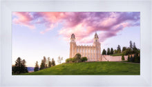 Load image into Gallery viewer, Manti Cotton Candy
