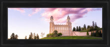 Load image into Gallery viewer, Manti Cotton Candy
