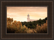 Load image into Gallery viewer, Cedar City Golden
