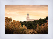 Load image into Gallery viewer, Cedar City Golden
